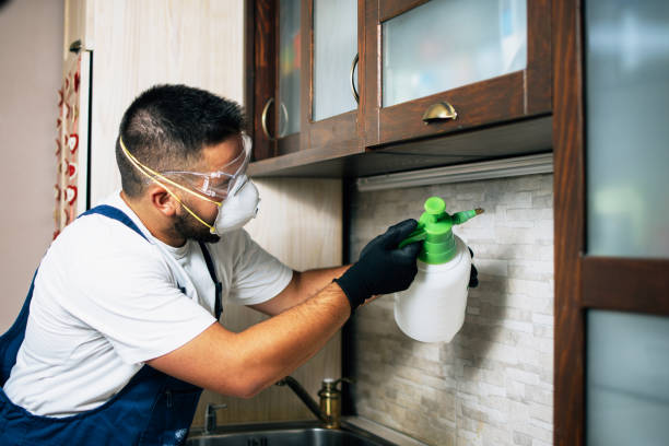 Best Insect Control  in Watford City, ND