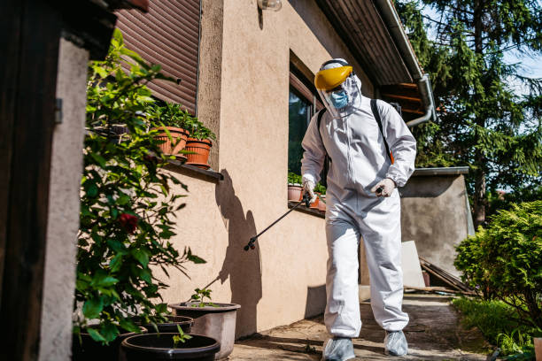 Best Termite Control Services  in Watford City, ND