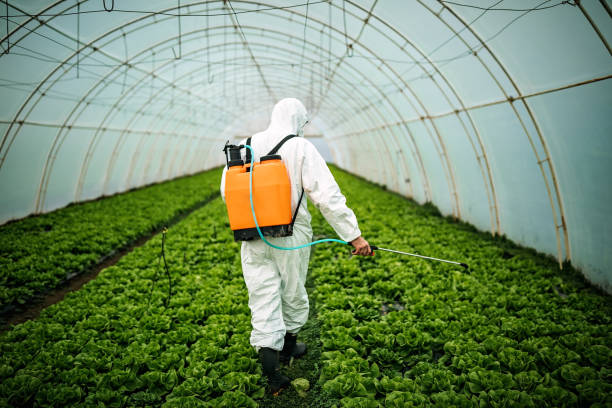 Best Pest Control Near Me  in Watford City, ND