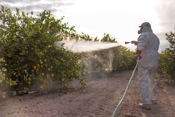 Best Best Pest Control Companies  in Watford City, ND