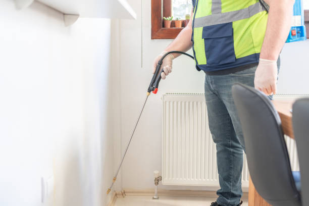 Best Ant Control Services  in Watford City, ND