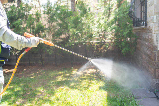 Best Residential Pest Control  in Watford City, ND